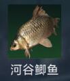 星球重启河谷鲫鱼怎么获取 星球重启河谷鲫鱼获取方法